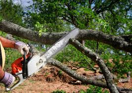 Best Residential Tree Removal  in Dell Rapids, SD